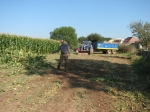 Colin Gibbins after maize planted along the route of the flood scheme was harvested early.